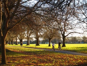 Hagley Park