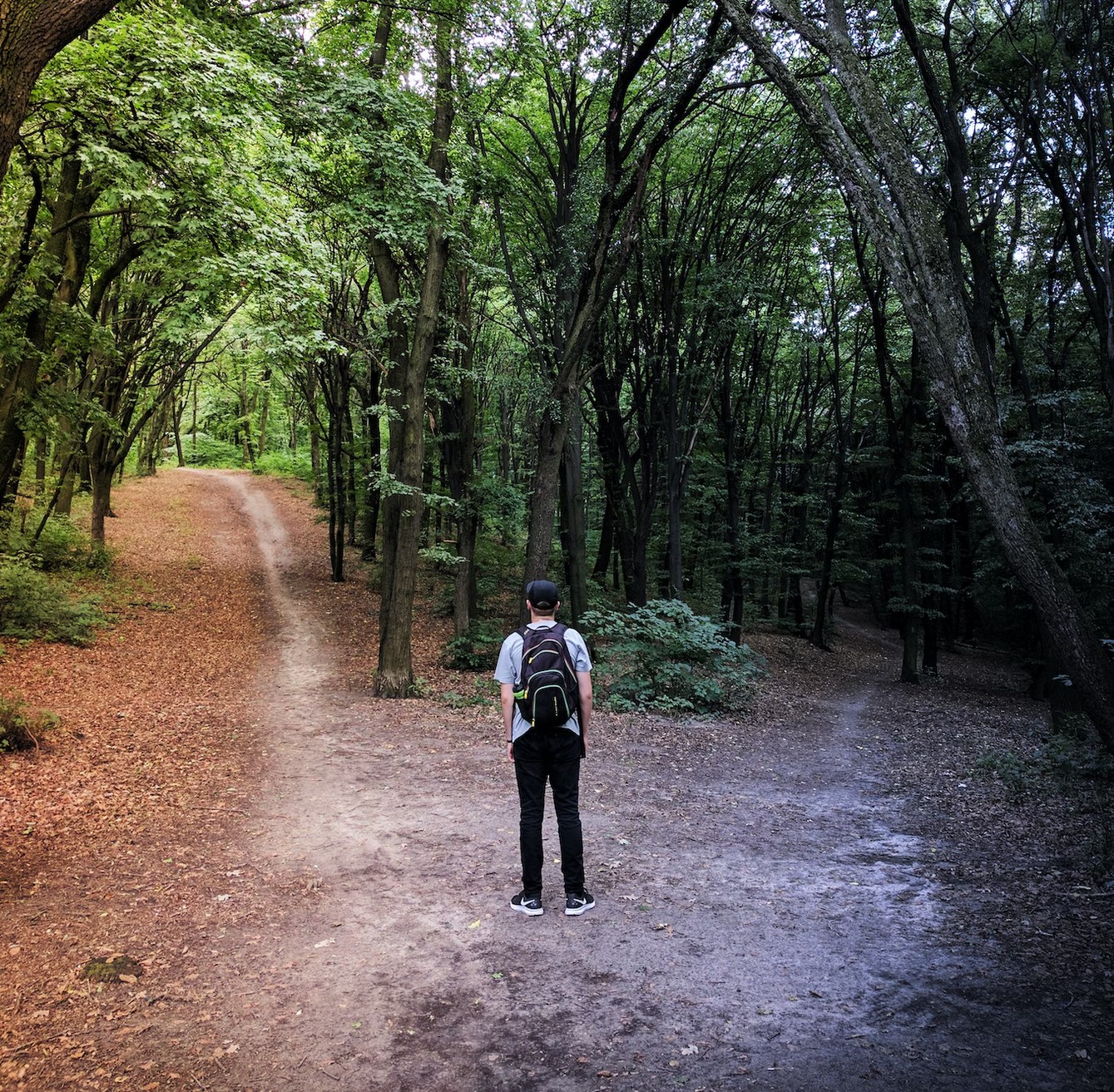 Decisions Have Consequences - by Robert Ringer